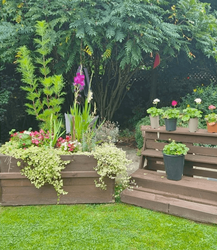 Planters in The Garden