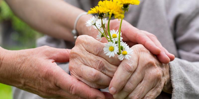 hands holding flowers