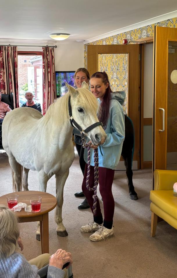 pony-in-struan-lodge