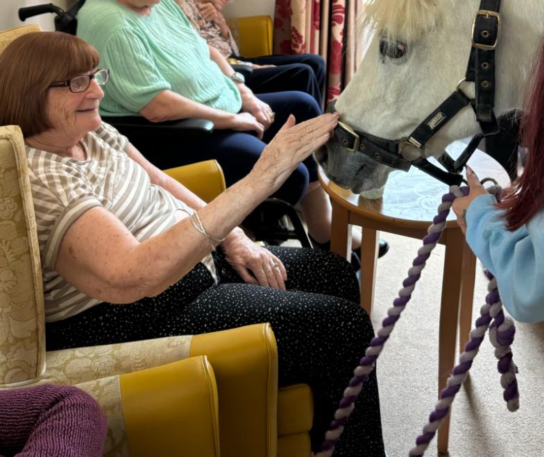 resident-petting-pony