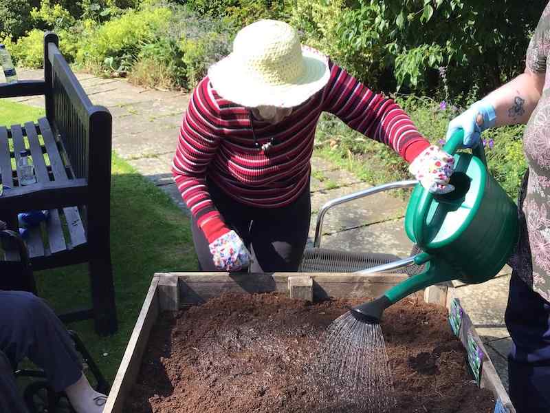 Elderly woman watering flowerbed